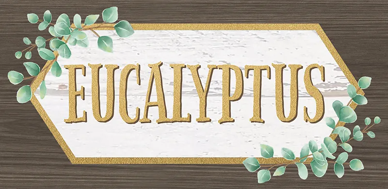 Eucalyptus